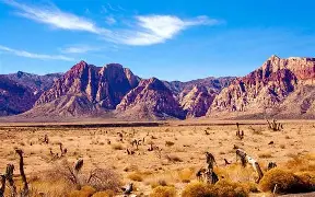 Mojave Desert landscape