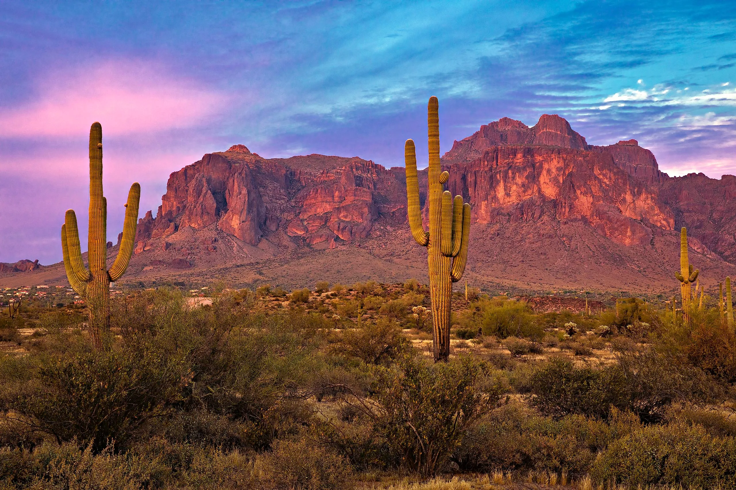 Sonoran Desert landscape