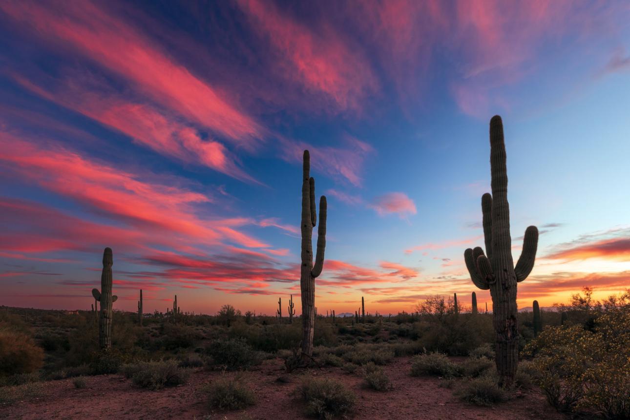 Desert sunset
