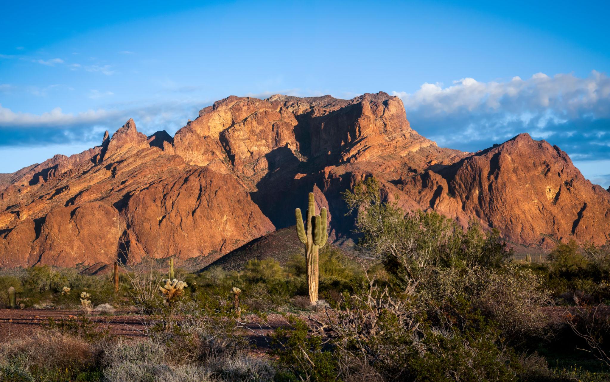 Desert rocks