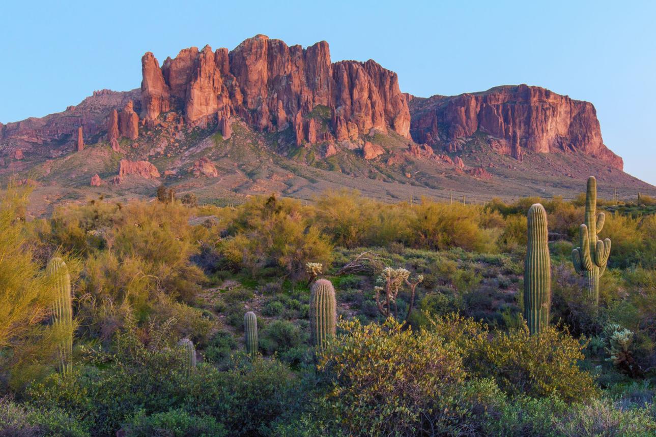 Desert trail